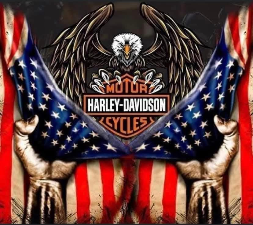 Patriotic Ride: Harley-Davidson Spirit